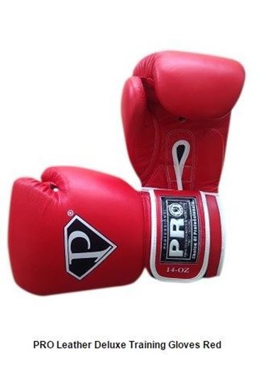 Image sur Boxing Gloves