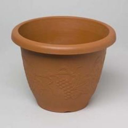 Foto de Grape Design Round Planter Case Pack 48