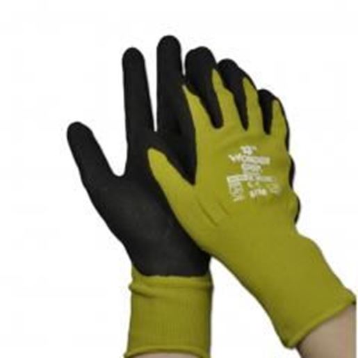 Picture of Creative Professional Nylon/Nitrile Garden Gloves Premium Gloves M 7.8~9" GREEN