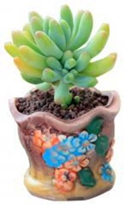 Foto de Small Plant Pot Flower Pot Plant Pot Ceramic Plant Pot