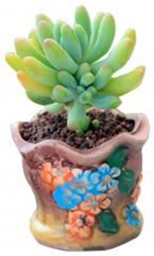 Foto de Small Plant Pot Flower Pot Plant Pot Ceramic Plant Pot