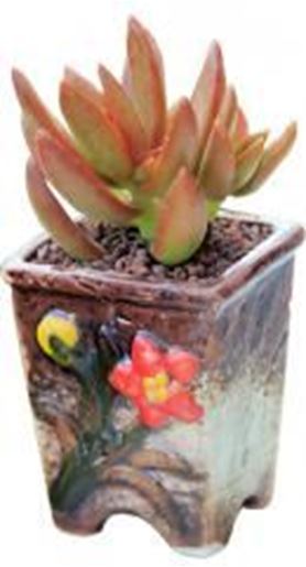 Picture of Plant Pot Flower Pot Small Plant Pot Outdoor Planter