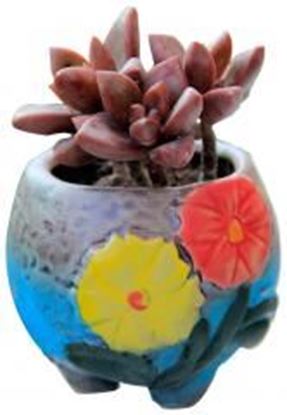 Foto de Mini Flower Pot Ceramic Flower Pot Flower Pot Plant Pot