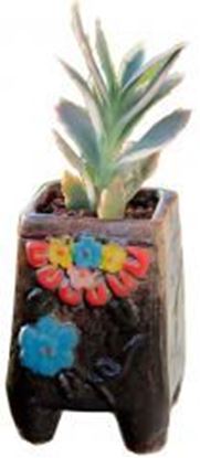 Foto de Plant Pot Flower Pot Ceramic Flower Pot Mini Flower Pots