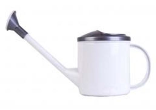 Picture of Watering Watering Can Watering Watering Can Gardening Tools Watering Kettle