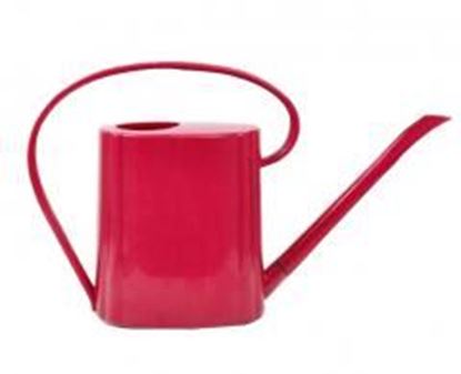 Foto de Watering Watering Can Watering Watering Can Gardening Tools Watering Kettle #12