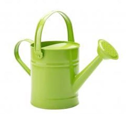 Picture of Watering Can Watering Watering Can Gardening Tools Watering Kettle Iron