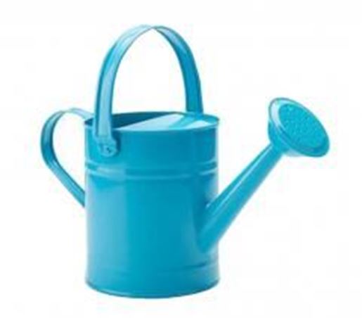 Picture of Watering Can Watering Watering Can Gardening Tools Watering Kettle Iron #1