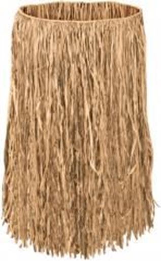 Picture of Adult Raffia Hula Skirt - Natural #05405 Case Pack 12