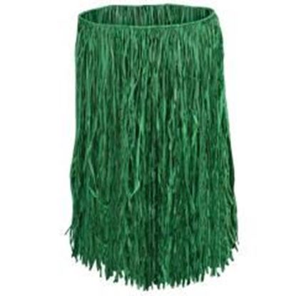 Foto de Adult Raffia Hula Skirt - Green Case Pack 12