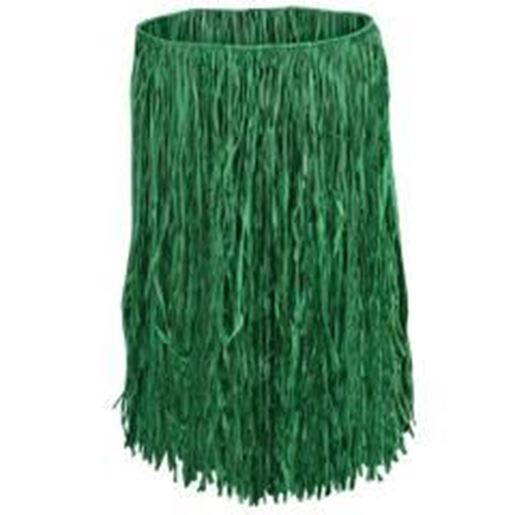 Picture of Adult Raffia Hula Skirt - Green Case Pack 12