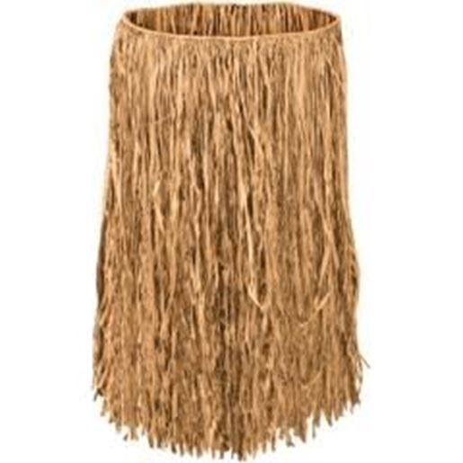 Picture of Adult Raffia Hula Skirt - Natural #N0340 Case Pack 12