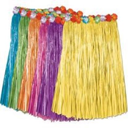 Foto de Adult Artificial Grass Hula Skirts Case Pack 12