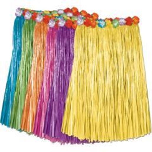 Picture of Adult Artificial Grass Hula Skirts Case Pack 12