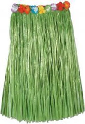 Foto de Adult Artificial Grass Hula Skirt - Green Case Pack 12