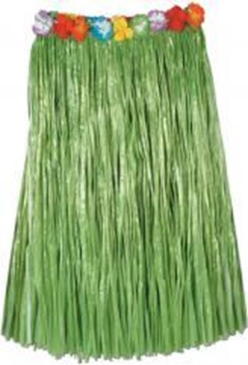 Picture of Adult Artificial Grass Hula Skirt - Green Case Pack 12