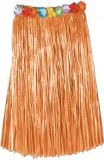 Picture of Adult Artificial Grass Hula Skirt - Natural Case Pack 12