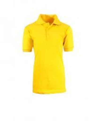 Picture of Adult Gold School Uniform Polo Shirt - Size L Case Pack 36