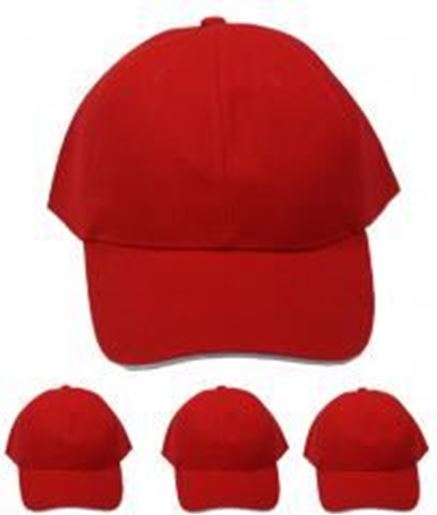 Picture of Adjustable Baseball Cap With Pre-Curved Visor Red Case Pack 48