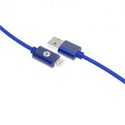 图片 10FT BRAID LGHTNG USB CABL BLU