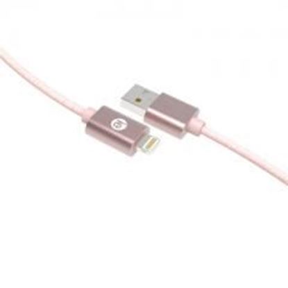 图片 10FT BRAID LGHTNG USB CABL GLD