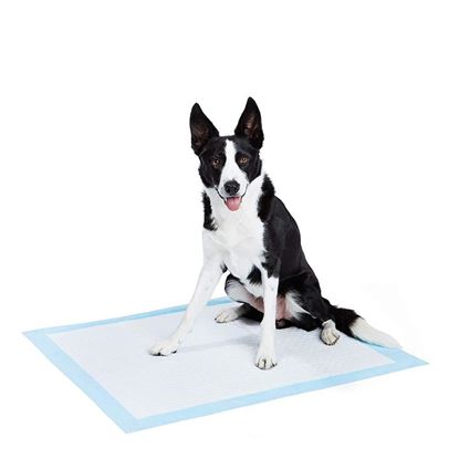 图片 [200 Pack] Dog and Puppy Pee, Potty Training Pads Ultra Absorbent