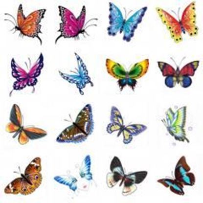 Foto de Hot Selling Men And Women Temporary  Tattoos Waterproof Stickers Butterfly-A386