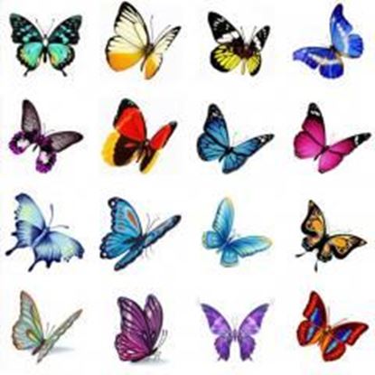 Picture of Hot Selling Men And Women Temporary  Tattoos Waterproof Stickers Butterfly-A388