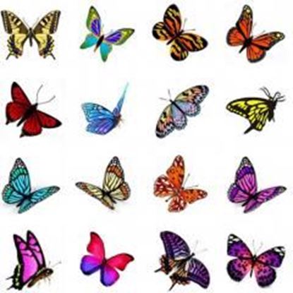 Picture of Hot Selling Men And Women Temporary  Tattoos Waterproof Stickers Butterfly-A389