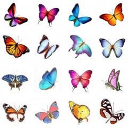 Picture of Hot Selling Men And Women Temporary  Tattoos Waterproof Stickers Butterfly-A390