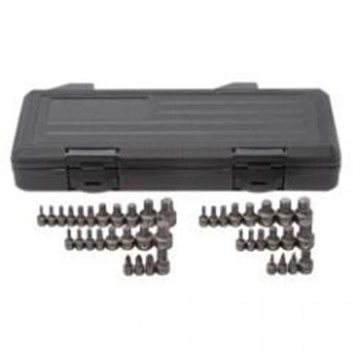 Picture of 41 Piece Master Ratcheting Wrench Insert Bit Set