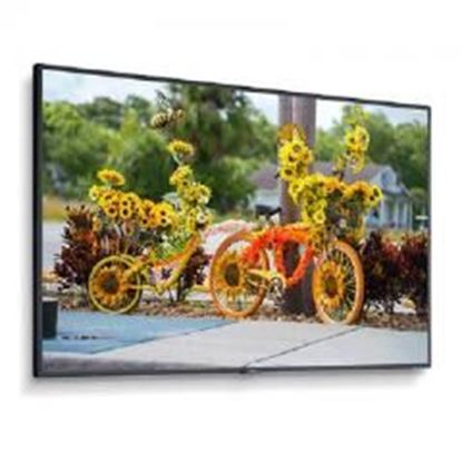 图片 Multisync C431 55" Display