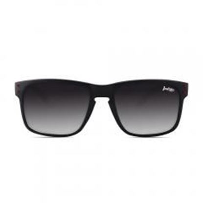 Picture of Polarized Sunglasses Freeride Spirit Black The Indian Face for men and women