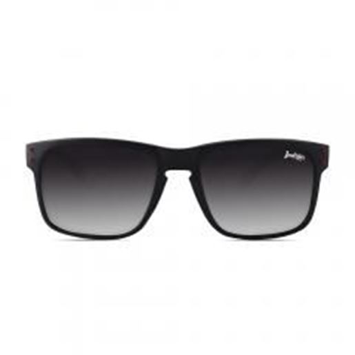 Picture of Polarized Sunglasses Freeride Spirit Black The Indian Face for men and women