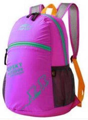 Picture of Outdoor Backpacks Pink Camping Backpacks Riding Bags Climbing Backpacks 20L