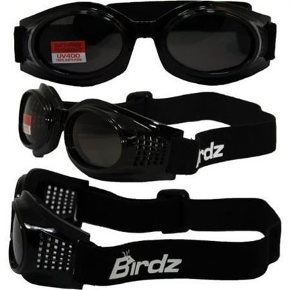 Birdz Eyewear Birdz Kite Black Frame Motorcycle Goggles with Smoke Bifocal Shatterproof Anti-Fog Polycarbonate Lenses and Vented Open Cell Foam