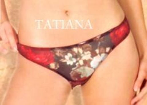 Picture of 7033-SERENA-BRIEF: As Shown Panty,2XL