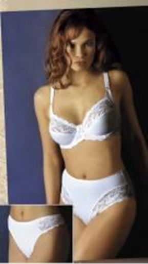 Picture of 20799-SASHA-BRIEF: White,3XL