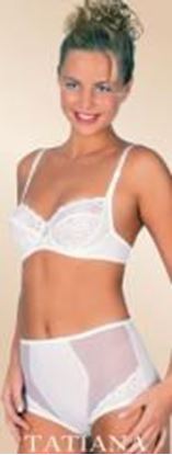 Picture of 683349-KARINA-BRIEF: White,2XL