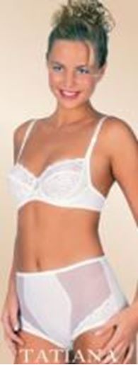 Picture of 683349-KARINA-BRIEF: White,2XL