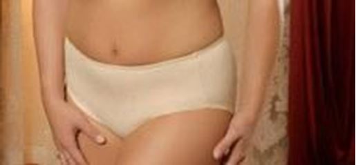 Picture of A-2560 Matching Seamless Panty for 2460 bra: Nude,3X