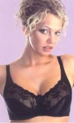 Picture of T-119463 Jenna Embroidered Underwire Bra: Black,32B