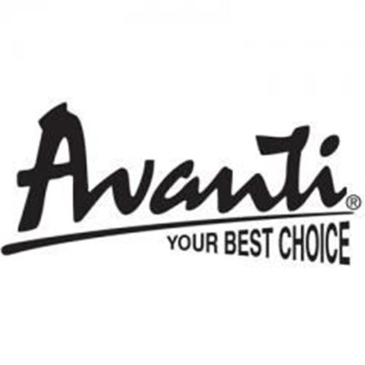 Picture of Avanti 24" Electric Range SS