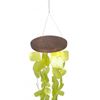 The Urban Port Aesthetically Designed Handmade Wind Chime with Capiz Shell Hangings, Green