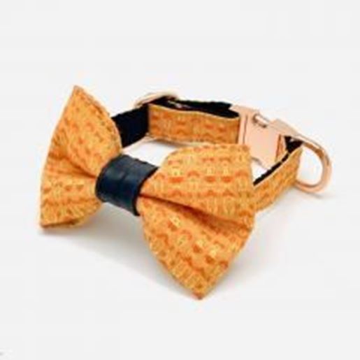 Puccissime Pet Couture Halloween orange dog collar & bow tie set Size S