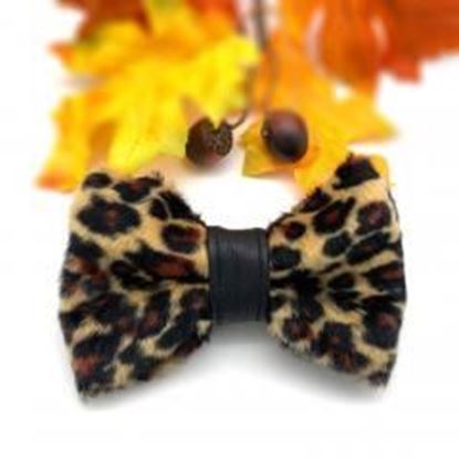 Puccissime Pet Couture Leopard dog bow tie with leather accent