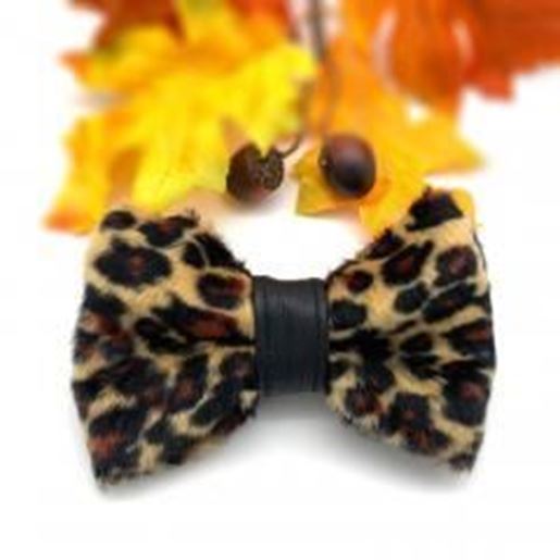 Puccissime Pet Couture Leopard dog bow tie with leather accent