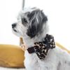 Puccissime Pet Couture Leopard dog bow tie with leather accent