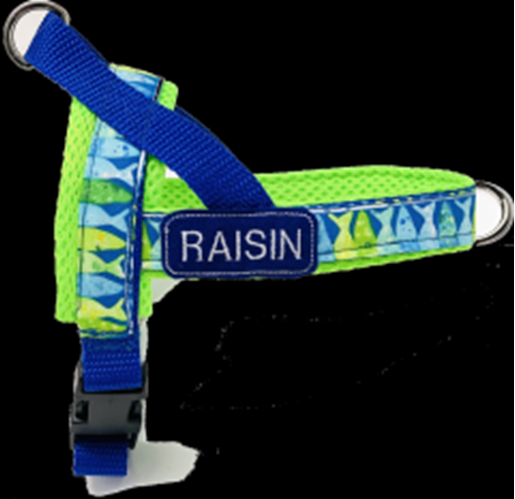 Puccissime Pet Couture Personalized neon blue ocean one-click harness - Girth 10-12inches