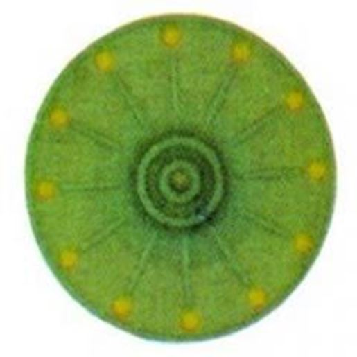 Picture of 8" Eliminator Sanding Pad